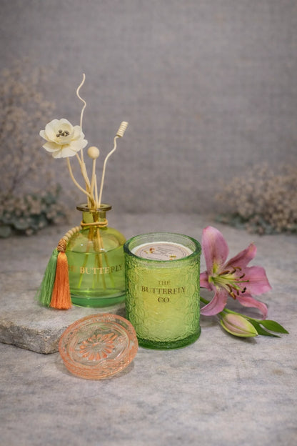 CandyJar Duo Set Sage Green