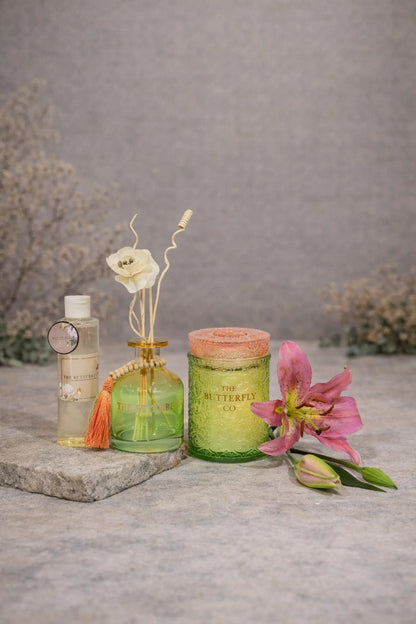 CandyJar Duo Set Sage Green